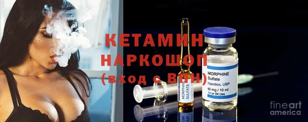 крисы Переславль-Залесский