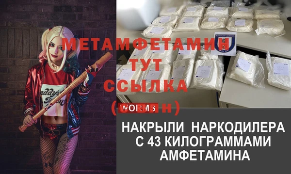 индика Инта