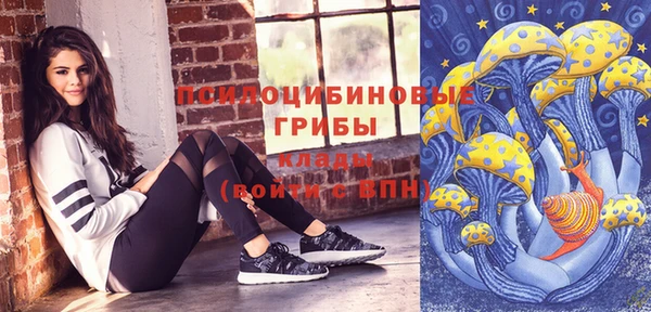 крисы Переславль-Залесский