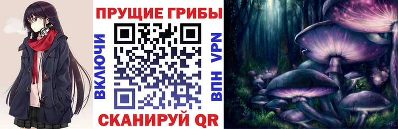 Галлюциногенные грибы GOLDEN TEACHER  Аткарск 